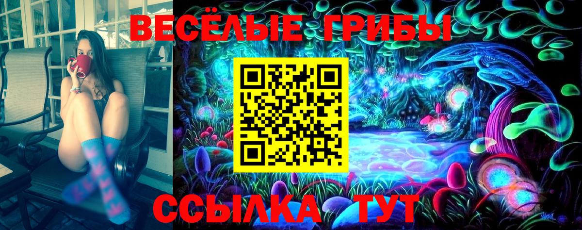 Астрахань  Псилоцибиновые грибы мицелий  Вход с VPN 